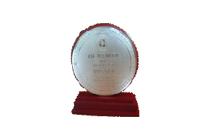 award 11